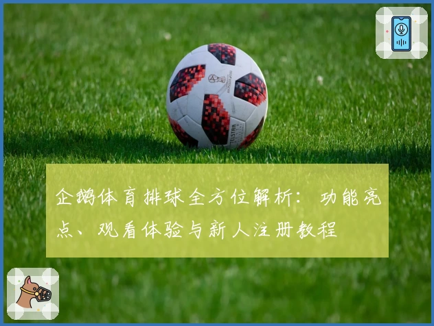 企鹅体育排球全方位解析:功能亮点、观看体验与新人注册教程