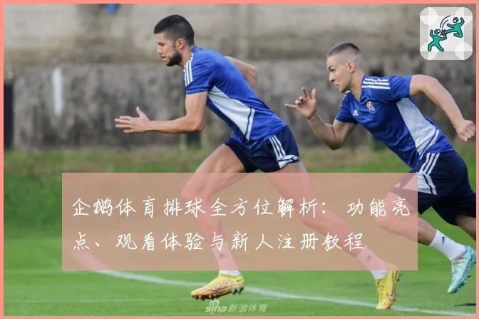 企鹅体育排球全方位解析:功能亮点、观看体验与新人注册教程