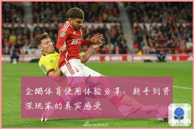 企鹅体育使用体验分享，新手到资深玩家的真实感受