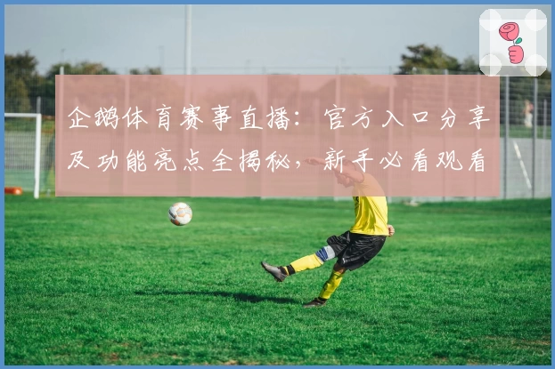 企鹅体育赛事直播：官方入口分享及功能亮点全揭秘，新手必看观看指南