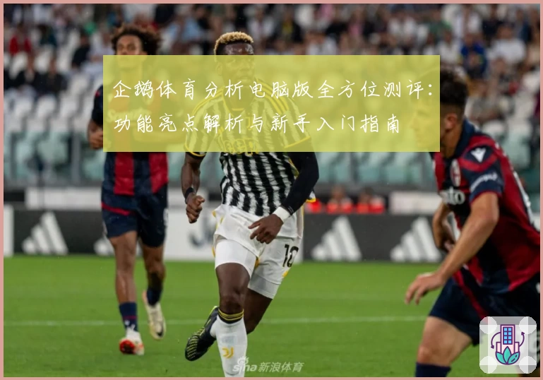 企鹅体育分析电脑版全方位测评：功能亮点解析与新手入门指南