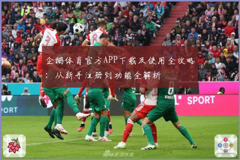 企鹅体育官方APP下载及使用全攻略:从新手注册到功能全解析