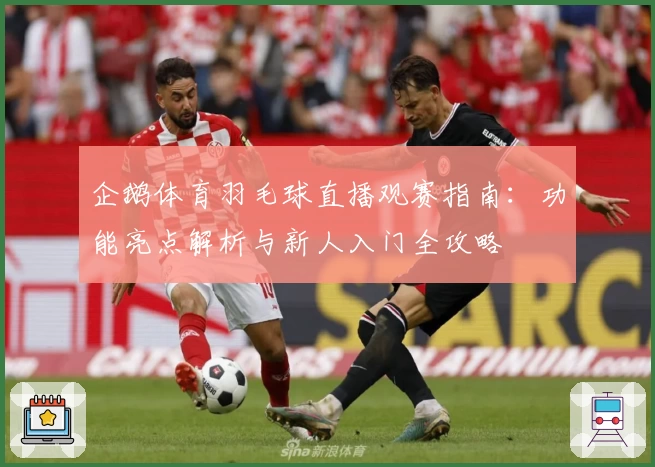 企鹅体育羽毛球直播观赛指南：功能亮点解析与新人入门全攻略