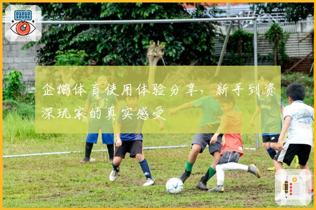 企鹅体育使用体验分享,新手到资深玩家的真实感受