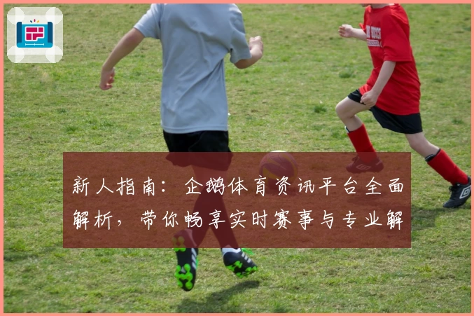 新人指南：企鹅体育资讯平台全面解析，带你畅享实时赛事与专业解读