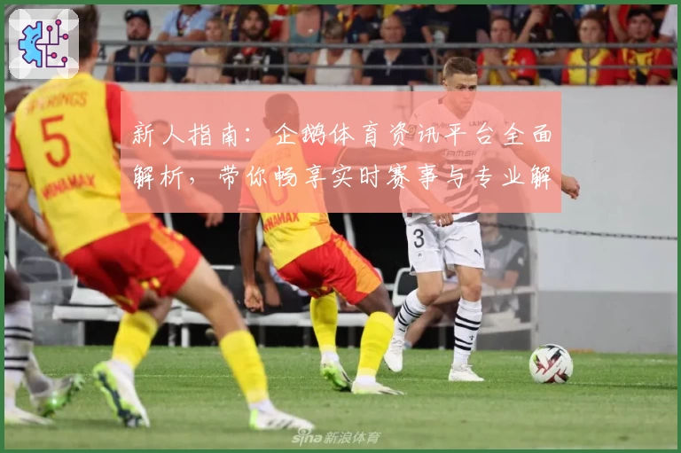 新人指南：企鹅体育资讯平台全面解析，带你畅享实时赛事与专业解读